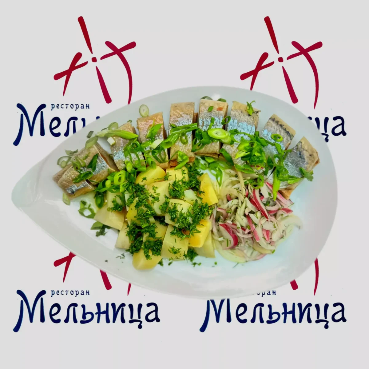 Homemade herring • "Melnitsa" restaurant, Kharkiv